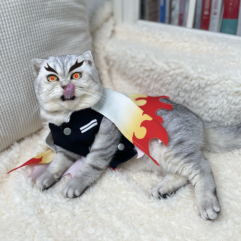 악마 슬레이어 애완 동물 코스프레 렌고쿠 쿄주로 고양이 - Cosplay Flame Prop 리뷰 및 가격