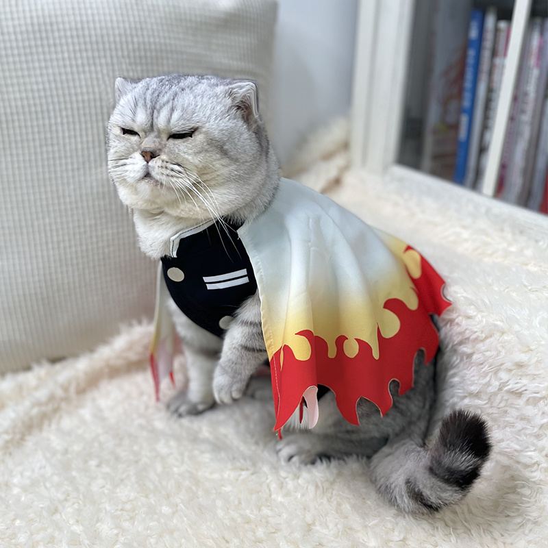 악마 슬레이어 애완 동물 코스프레 렌고쿠 쿄주로 고양이 - Cosplay Flame Prop 리뷰 및 가격