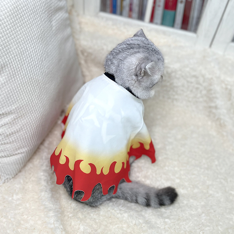 악마 슬레이어 애완 동물 코스프레 렌고쿠 쿄주로 고양이 - Cosplay Flame Prop 리뷰 및 가격